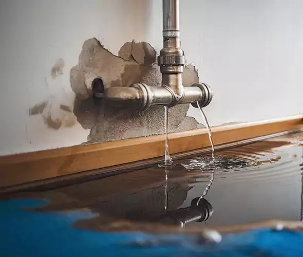 Professional Water Damage Restoration Experts in Lynbrook, NY — Fast, Reliable & Certified
