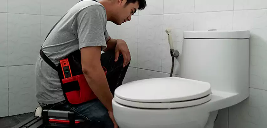 Toilet Repair in Lynbrook