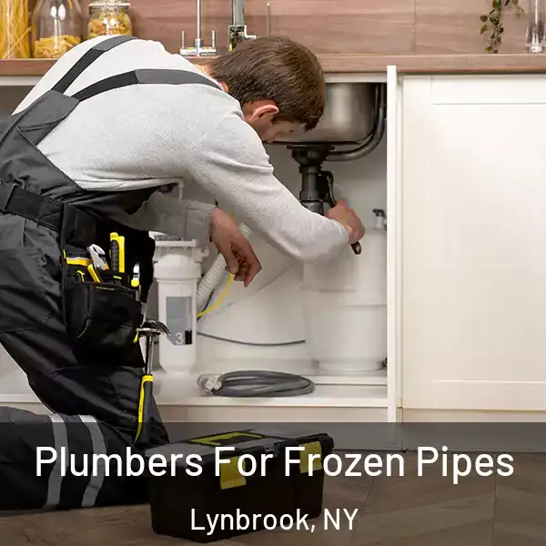  Plumbers For Frozen Pipes Lynbrook, NY