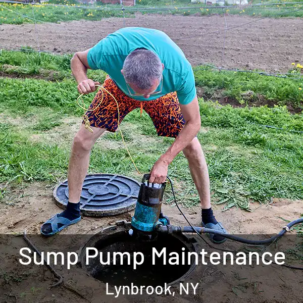  Sump Pump Maintenance Lynbrook, NY